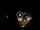 Webcam in Baden-Baden, 22.1 km