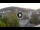 Webcam in Baden-Baden, 11.3 mi away