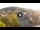 Webcam in Baden-Baden, 8.5 mi away