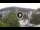 Webcam in Baden-Baden, 7.1 mi away