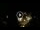 Webcam in Baden-Baden, 10.9 mi away