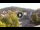 Webcam in Baden-Baden, 11.7 mi away