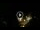 Webcam in Baden-Baden, 11.8 mi away