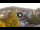 Webcam in Baden-Baden, 31.4 km entfernt