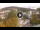 Webcam in Baden-Baden, 6.9 mi away