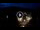 Webcam in Baden-Baden, 8.5 mi away