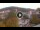 Webcam in Baden-Baden, 10.9 mi away