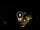 Webcam in Baden-Baden, 12.1 mi away