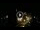 Webcam in Baden-Baden, 11.8 mi away