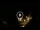 Webcam in Baden-Baden, 10.9 mi away