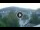 Webcam in Baden-Baden, 7.1 mi away