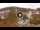 Webcam in Baden-Baden, 10.9 mi away