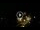 Webcam in Baden-Baden, 12.1 mi away