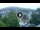 Webcam in Baden-Baden, 18.8 km