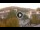 Webcam in Baden-Baden, 12.1 mi away