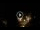 Webcam in Baden-Baden, 10.9 mi away