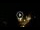 Webcam in Baden-Baden, 7.3 mi away