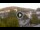 Webcam in Baden-Baden, 31.2 km
