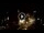 Webcam in Baden-Baden, 12.7 mi away