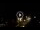 Webcam in Baden-Baden, 11.4 mi away