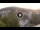 Webcam in Baden-Baden, 8.5 mi away