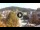 Webcam in Baden-Baden, 46.7 km entfernt