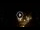 Webcam in Baden-Baden, 5.5 mi away