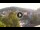 Webcam in Baden-Baden, 11.3 mi away