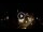 Webcam in Baden-Baden, 9.8 mi away