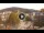 Webcam in Baden-Baden, 9.1 mi away