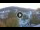Webcam in Baden-Baden, 29.6 km entfernt