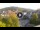 Webcam in Baden-Baden, 29.3 km