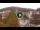 Webcam in Baden-Baden, 12.5 mi away
