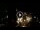 Webcam in Baden-Baden, 29.3 km