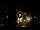 Webcam in Baden-Baden, 9.5 km