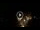 Webcam in Baden-Baden, 8.5 mi away