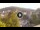 Webcam in Baden-Baden, 29.6 km