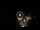 Webcam in Baden-Baden, 11.3 mi away