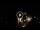 Webcam in Baden-Baden, 12.1 mi away
