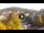 Webcam in Baden-Baden, 10.9 mi away