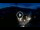 Webcam in Baden-Baden, 7.1 mi away