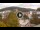 Webcam in Baden-Baden, 11.4 mi away