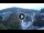 Webcam in Baden-Baden, 18.4 km