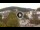 Webcam in Baden-Baden, 30.7 km