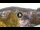 Webcam in Baden-Baden, 33 km
