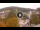 Webcam in Baden-Baden, 8.5 mi away
