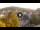 Webcam in Baden-Baden, 9.9 mi away