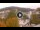 Webcam in Baden-Baden, 10.9 mi away