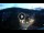 Webcam in Baden-Baden, 9.8 mi away