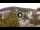 Webcam in Baden-Baden, 19.3 km
